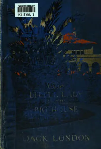 Cover for The Little Lady of the Big House