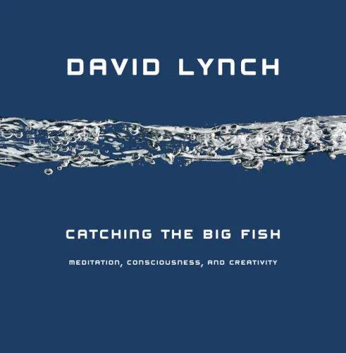 Cover for Catching the Big Fish