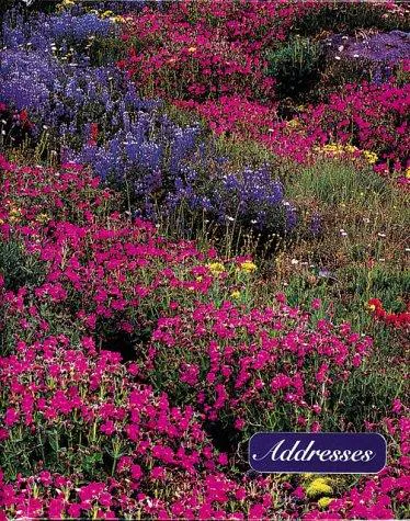 Cover for American Wildflowers