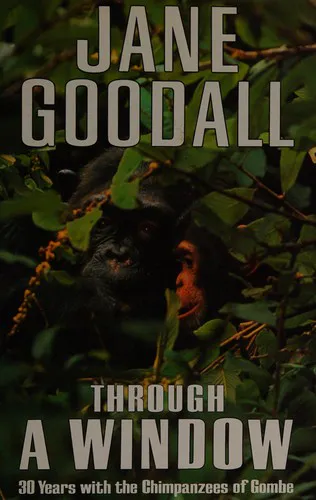 Cover for Through a Window