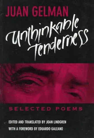 Cover for Unthinkable Tenderness