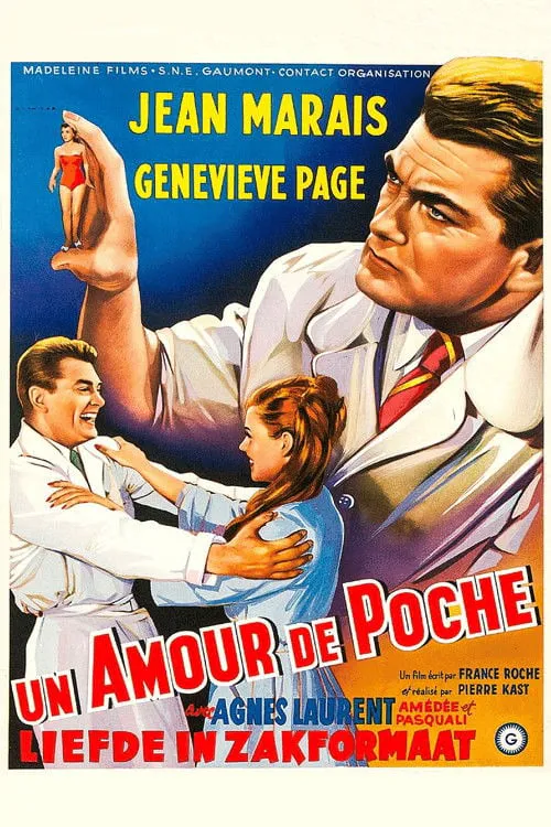 Poster for A Girl in a Pocket