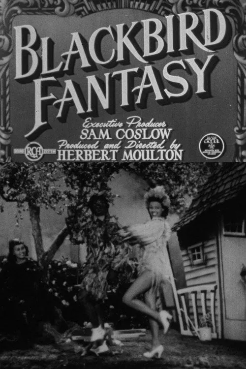 Poster for Blackbird Fantasy