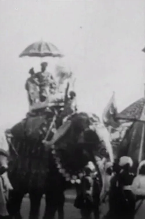 Poster for Procession of Elephants with Howdahs - India