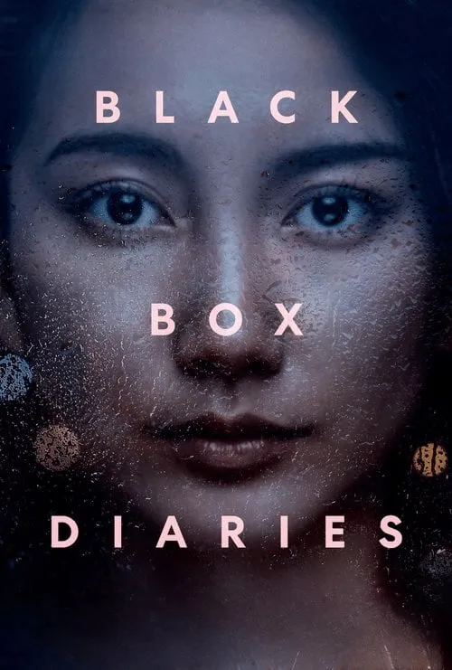 Poster for Black Box Diaries