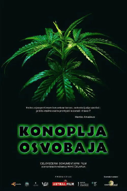 Poster for Cannabis Sets You Free
