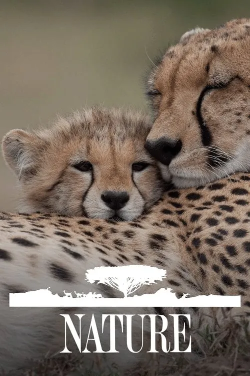 Poster for Nature