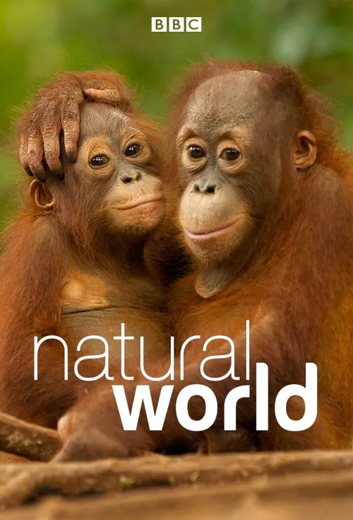 Poster for Natural World