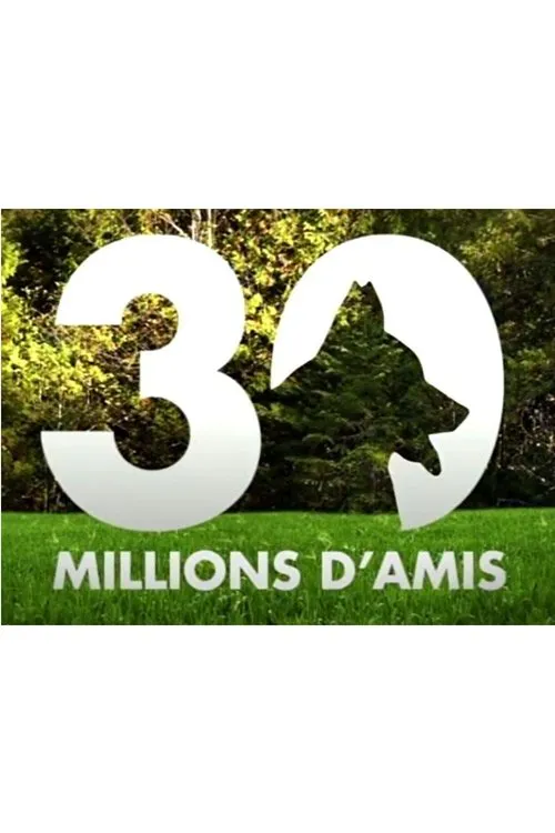 Poster for 30 Millions D'amis