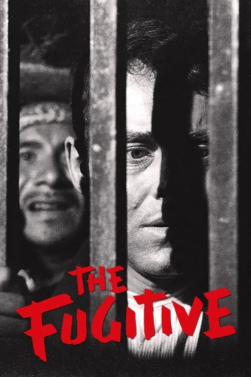Poster for The Fugitive