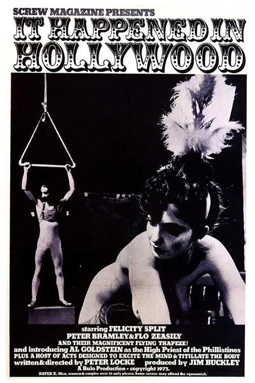 Poster for It Happened in Hollywood