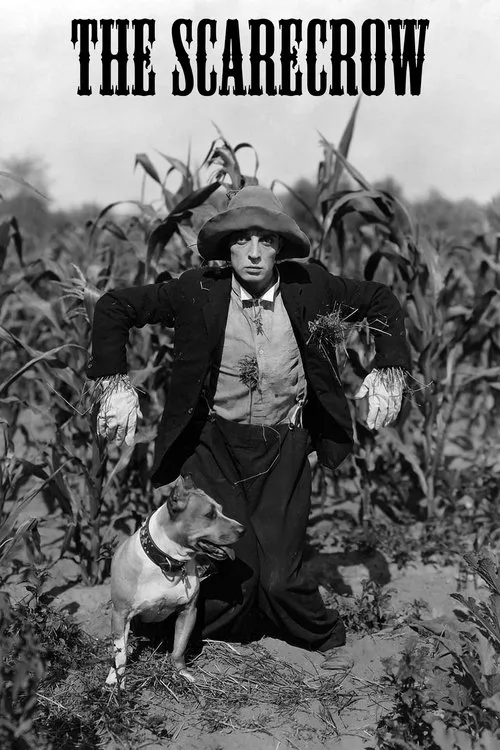 Poster for The Scarecrow