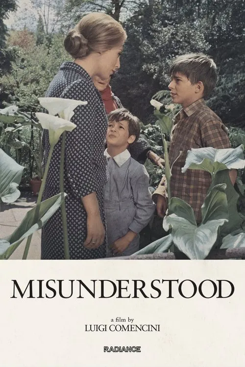 Poster for Misunderstood