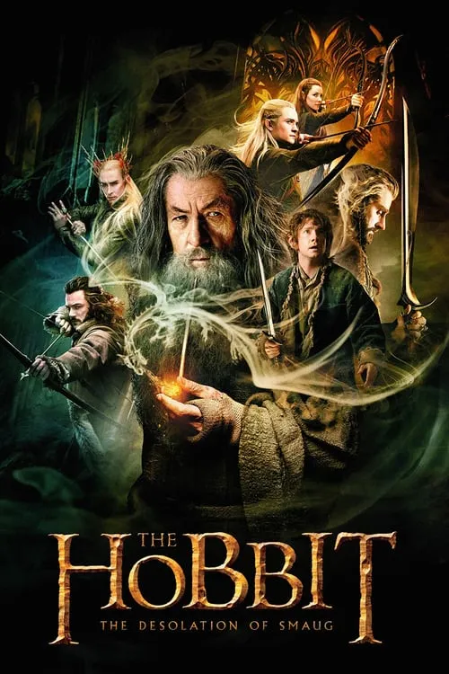Poster for The Hobbit: the Desolation of Smaug
