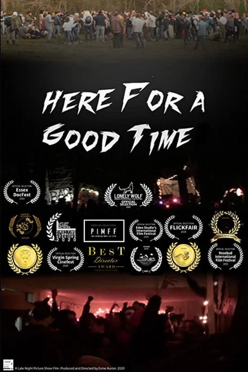 Poster for Here for a Good Time